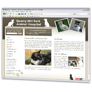 Creative and professional design for a leading veterinarian clinic in Rochester.